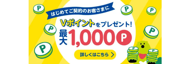 はじめてご契約のお客さまに最大1,000ポイントのVポイントをプレゼント！詳しくはこちら